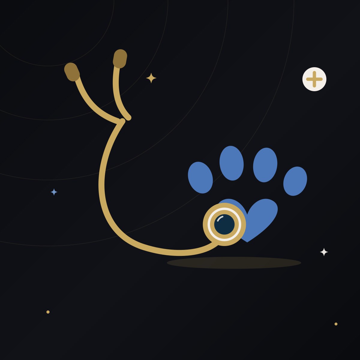 Veterinary Practice Marketing on Long Island