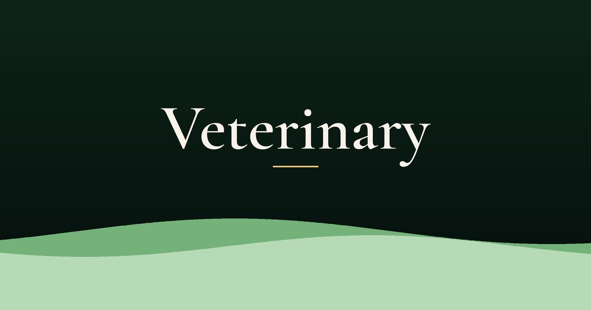 Veterinary Practice Marketing on Long Island